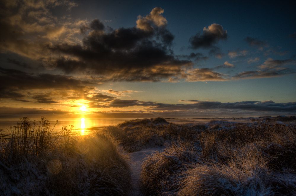 Morning Glory von Christopher 'Chrickel' Diedrich 