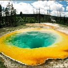 Morning Glory Pool