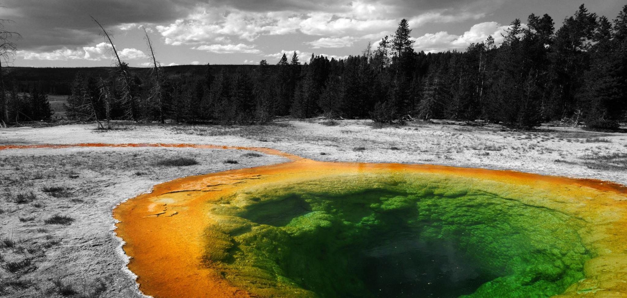 Morning Glory Pool