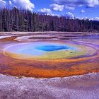 Morning Glory Pool