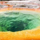 Morning Glory pool im YNP 