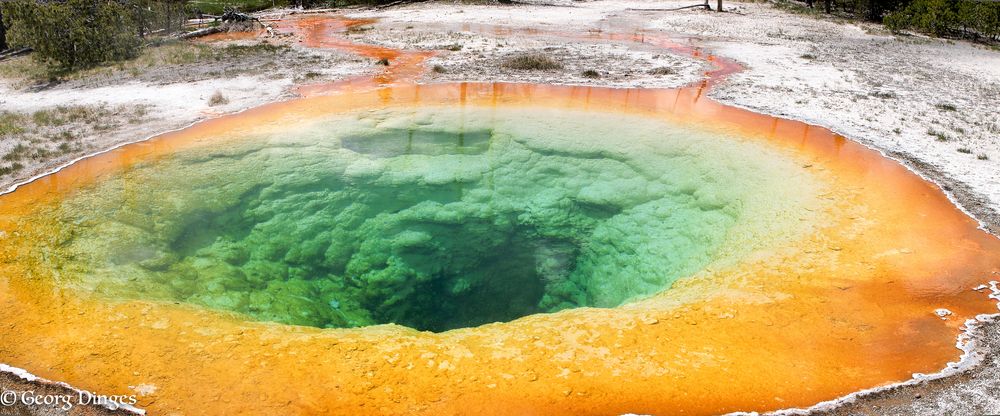 Morning Glory pool im YNP 