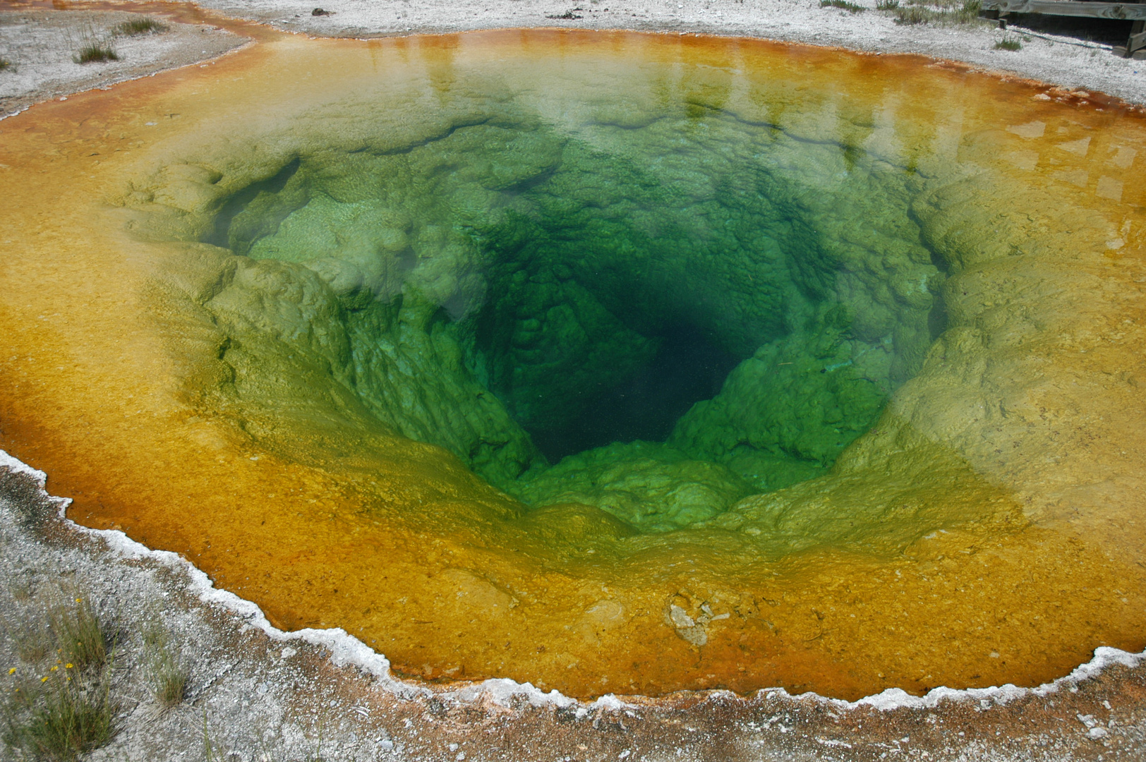 Morning Glory Pool, Yellowstone