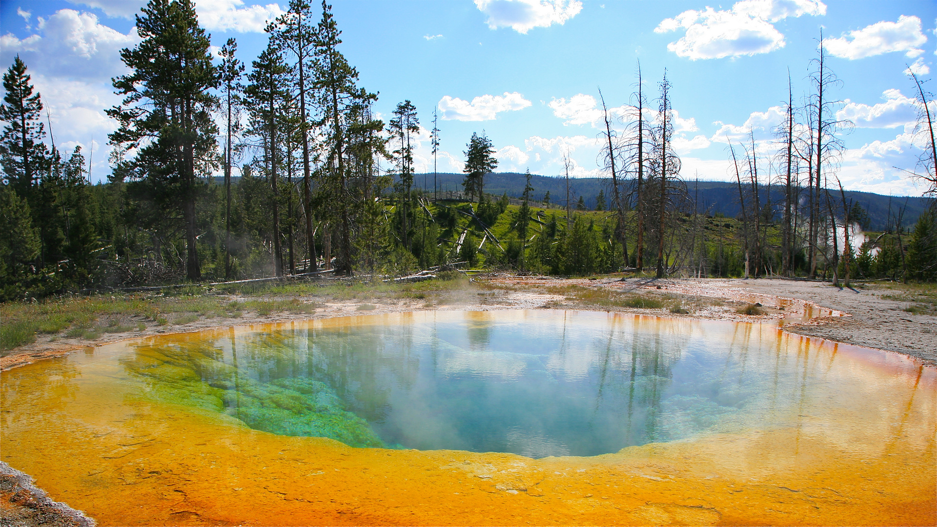 Morning Glory Pool @ Yellowstone NP