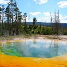 Morning Glory Pool @ Yellowstone NP