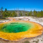 Morning Glory Pool (Yellowstone N.P.)