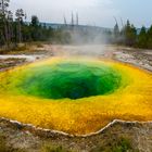 Morning Glory Pool - Yellowstone NP (USA)