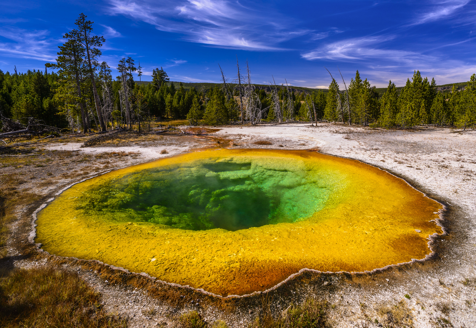 Morning Glory Pool, Yellowstone NP, Wyoming, USA Foto