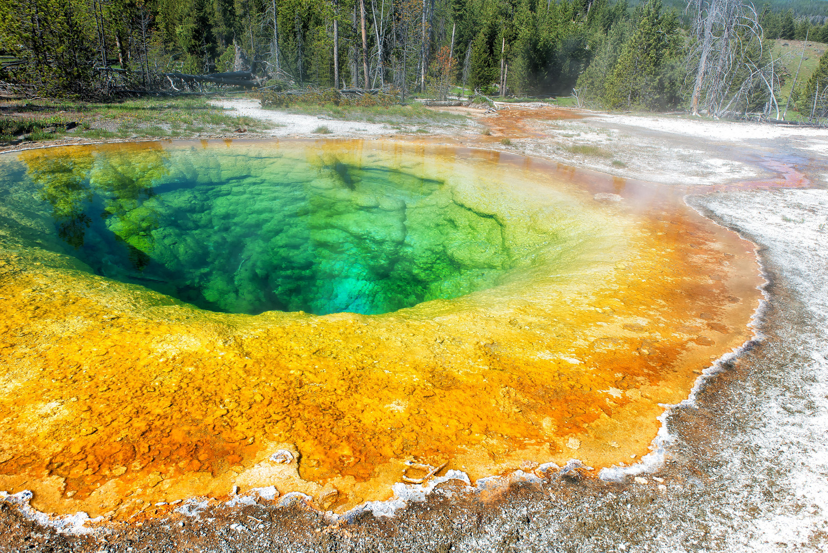 Morning Glory Rainbowpool