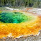 Morning Glory Rainbowpool