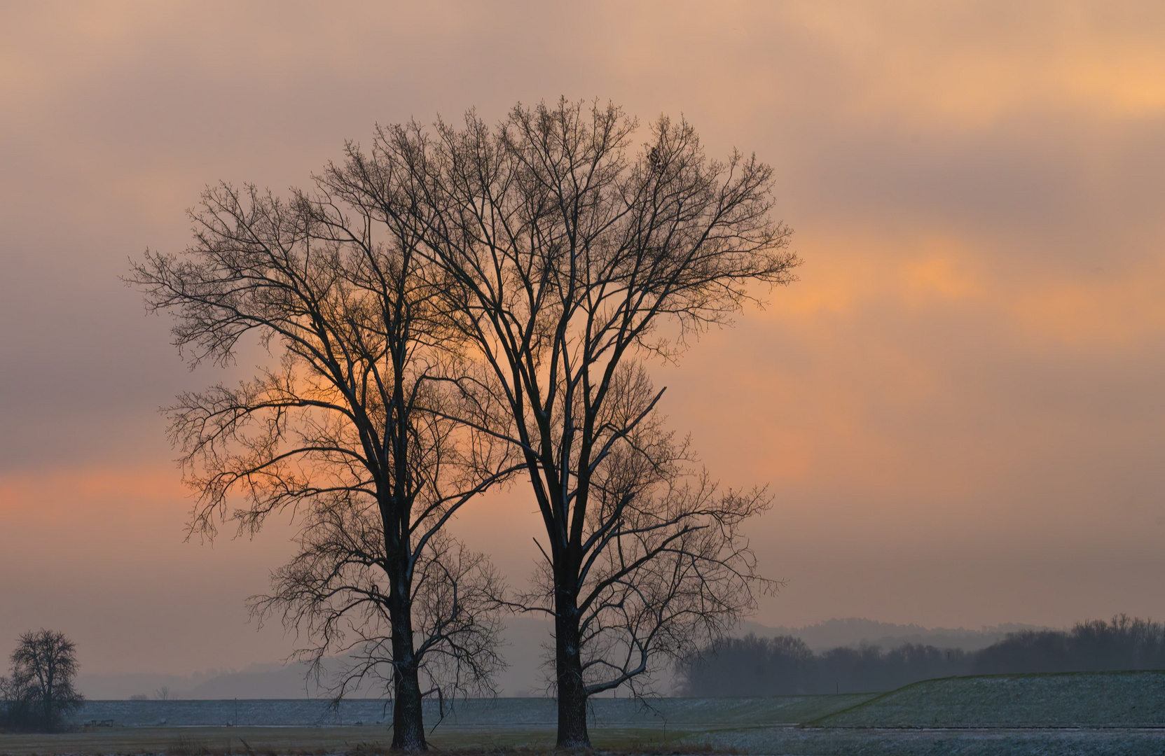 Morning Glow