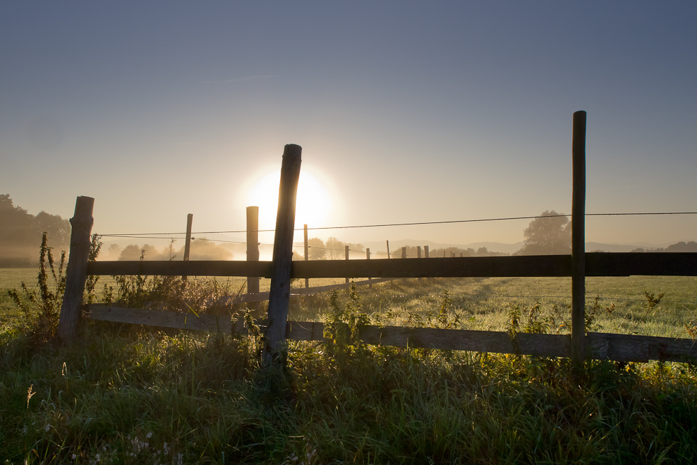 Morning Glow