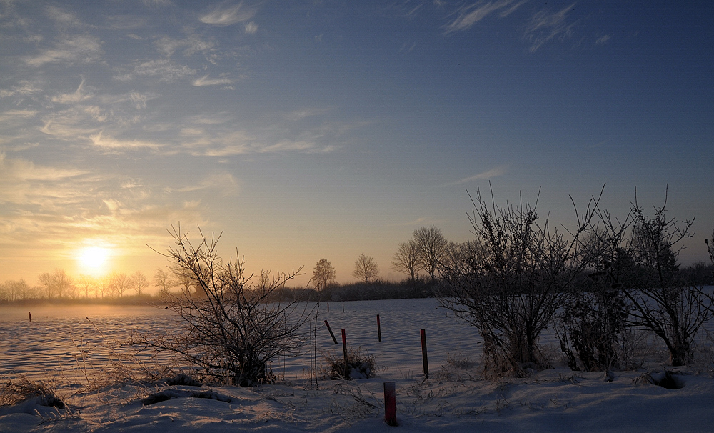 Morning Glow