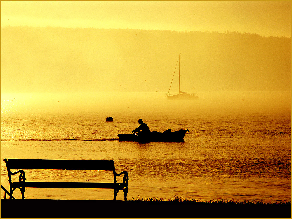 morning gold von Thomas Kah Punkt