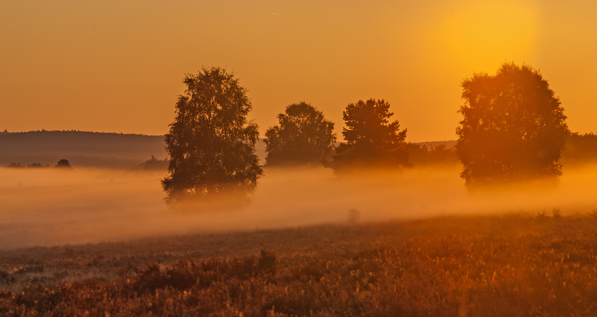 "Morning has broken"