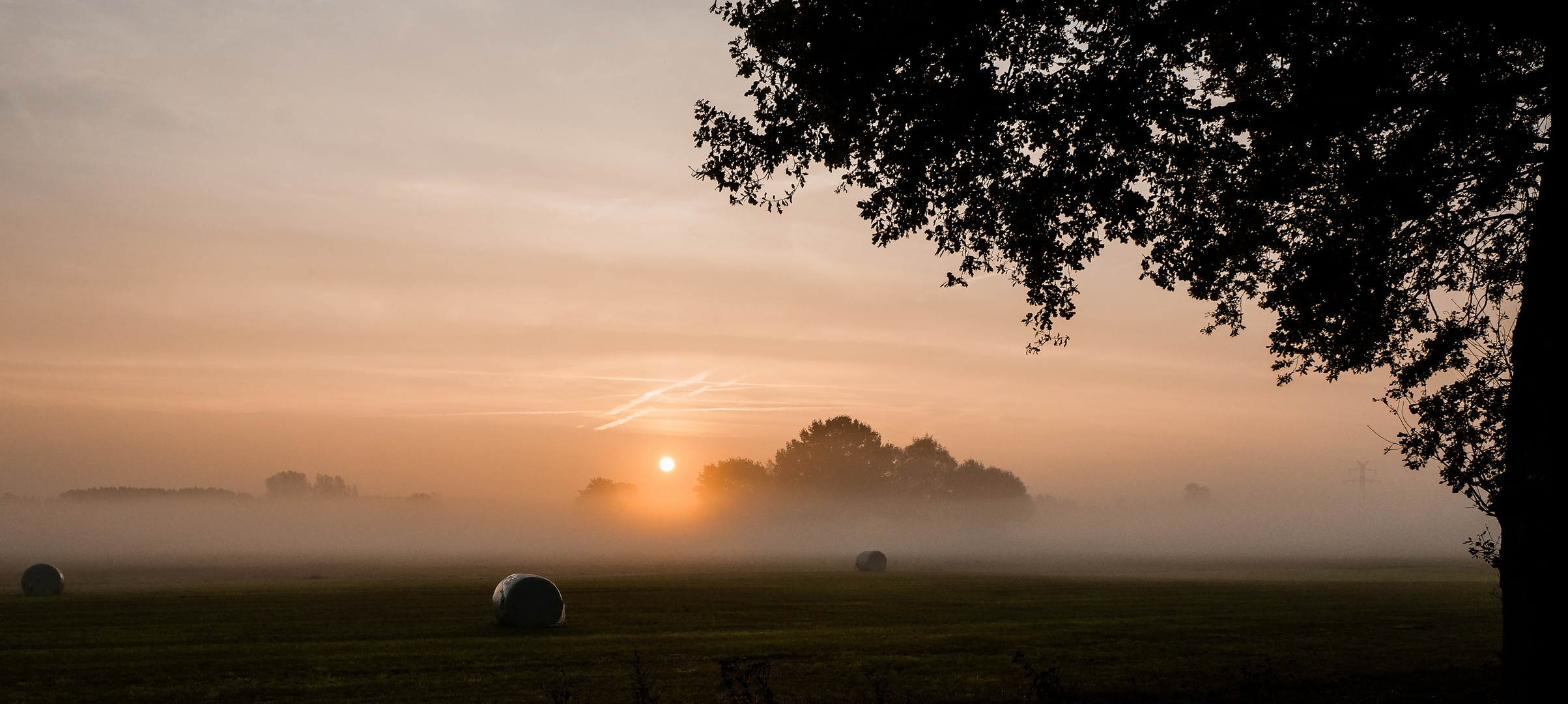 morning has broken