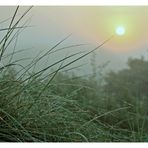 Morning has broken