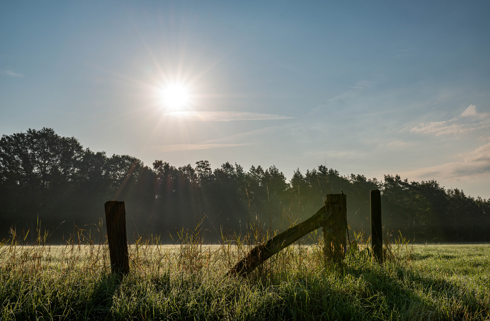 Morning has broken