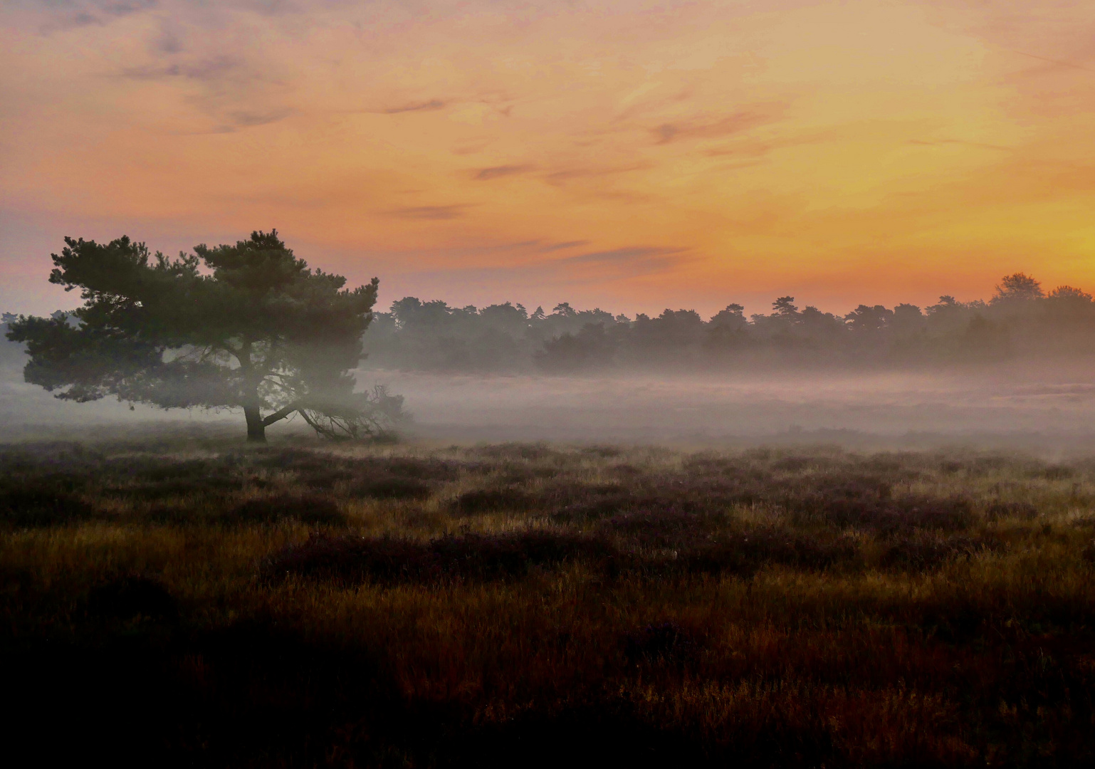 Morning has broken / Cat Stevens