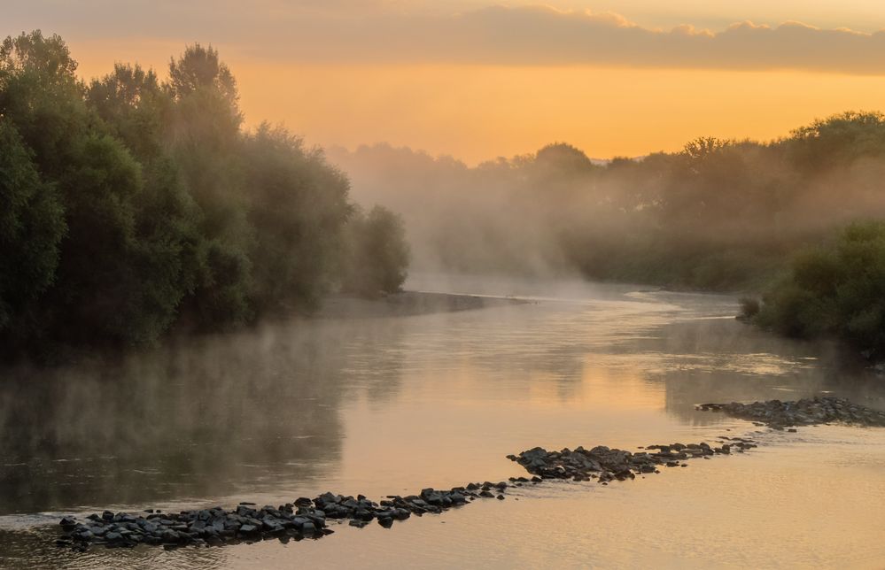 Morning has Broken. Morgennebel