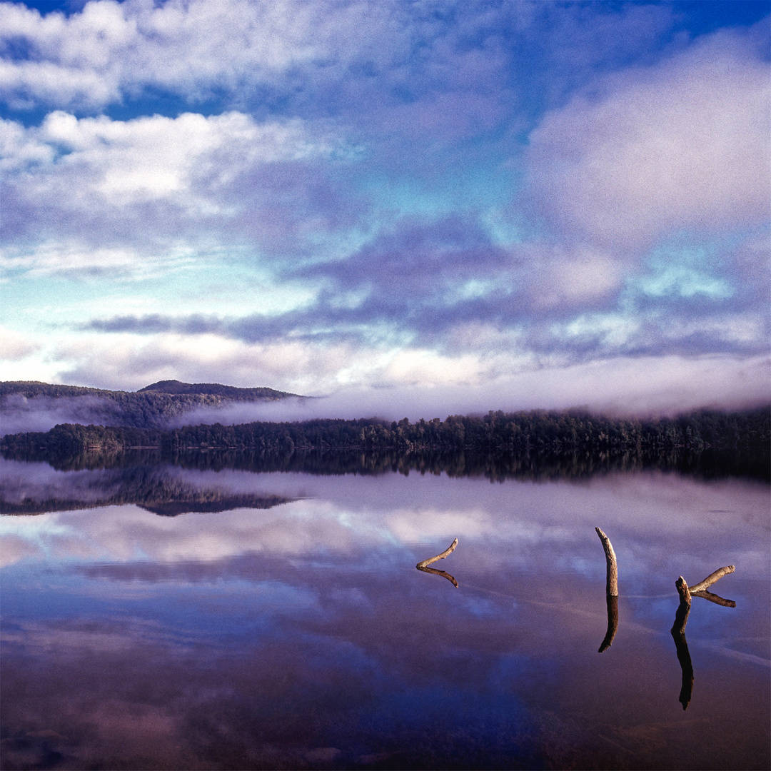 MORNING HAS BROKEN...- Neuseeland