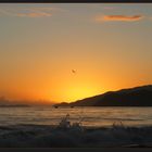 Morning has Broken - Playa Copey - Carúpano