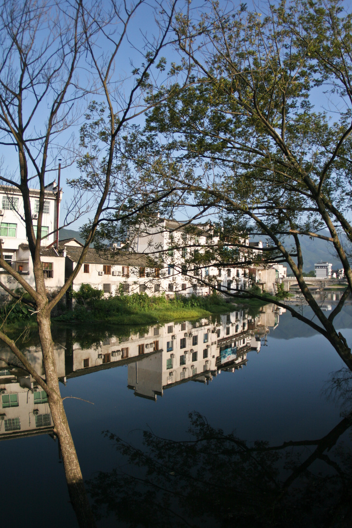 Morning Houses Reflection