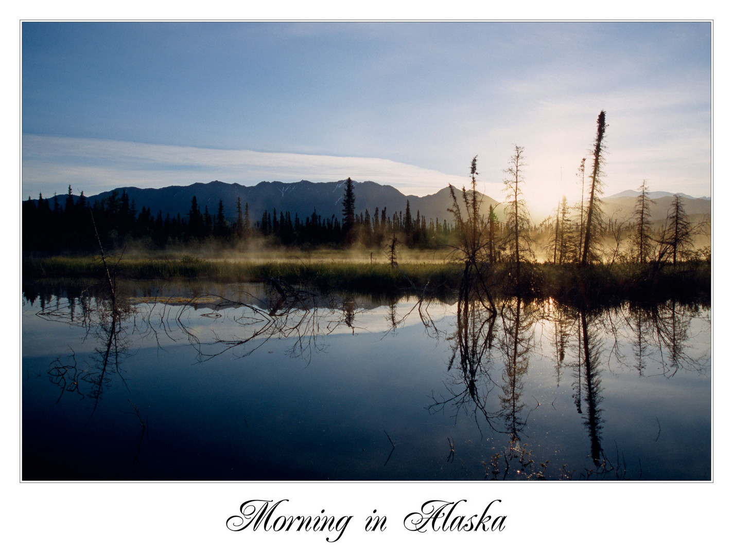 Morning in Alaska