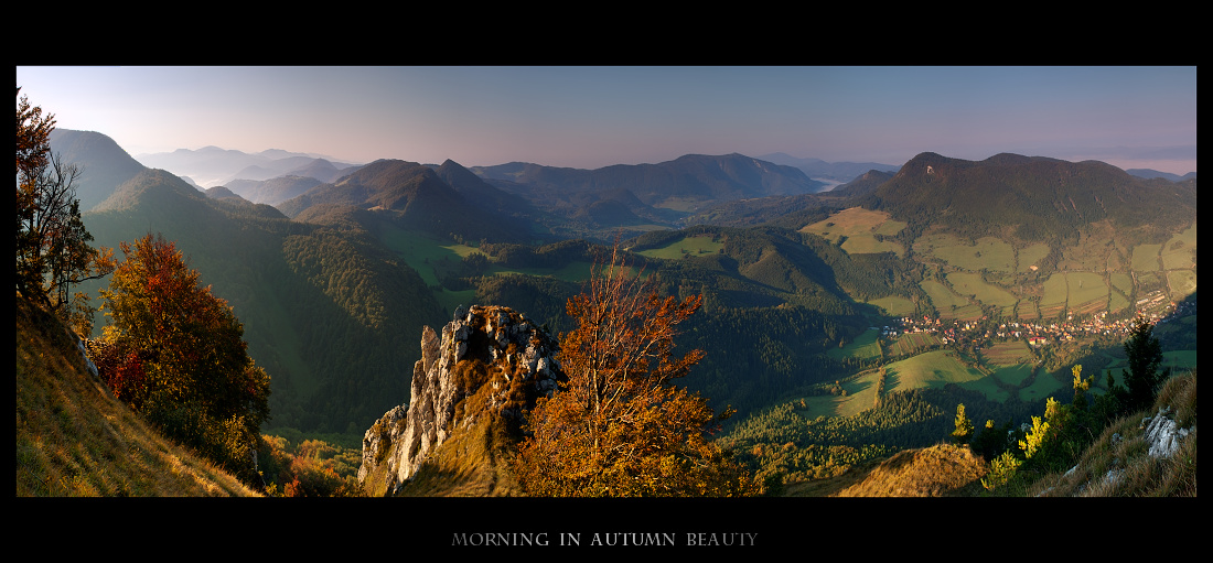 morning in autumn beauty