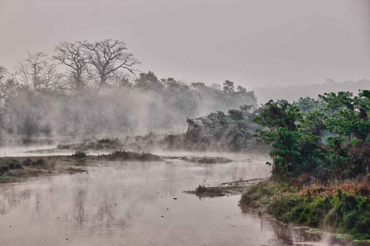 Morning in Chitwan National Park, Nepal