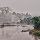 Morning in Chitwan National Park, Nepal