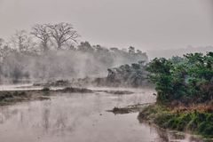 Morning in Chitwan National Park, Nepal