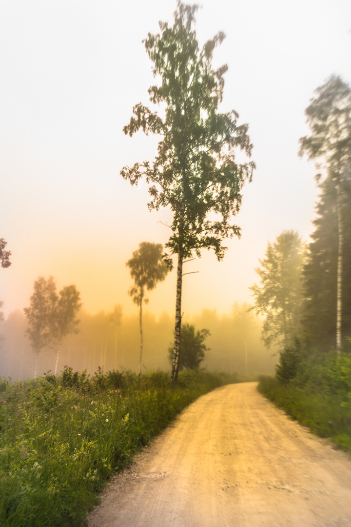 Morning in Estonia