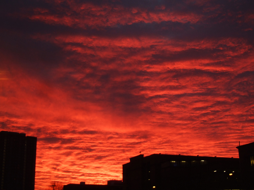 Morning in Glasgow