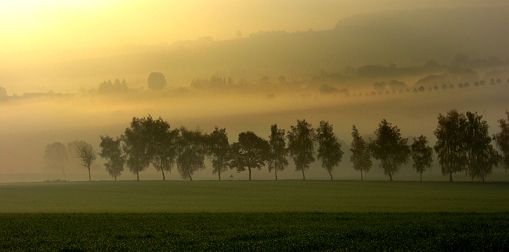 morning in himmighofen