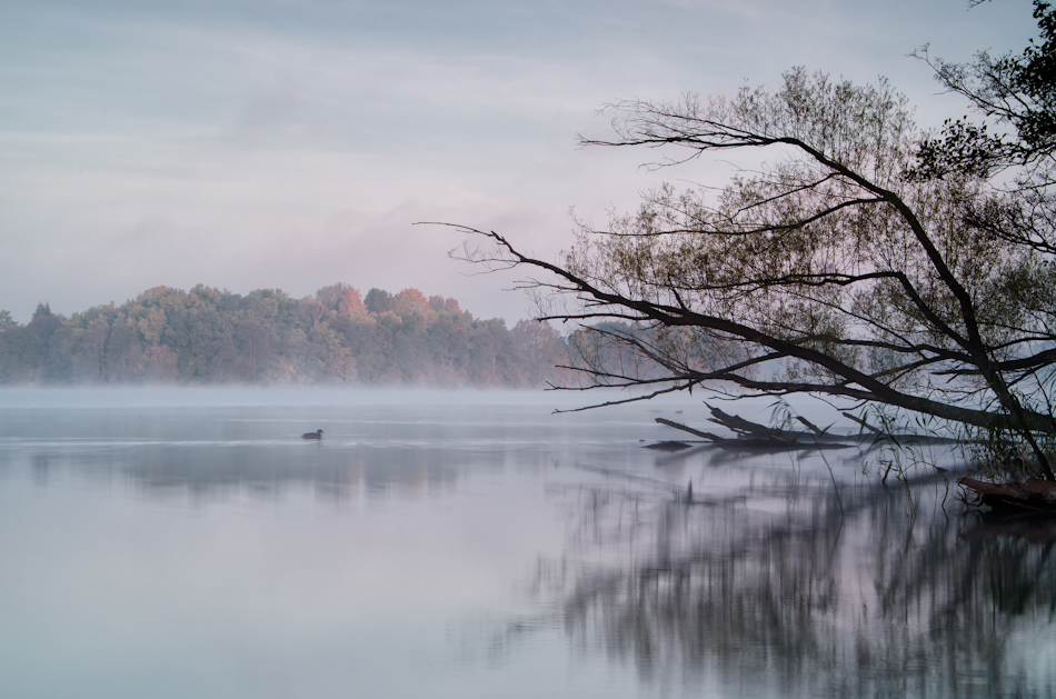 Morning in Lychen