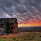 Morning in the countryside