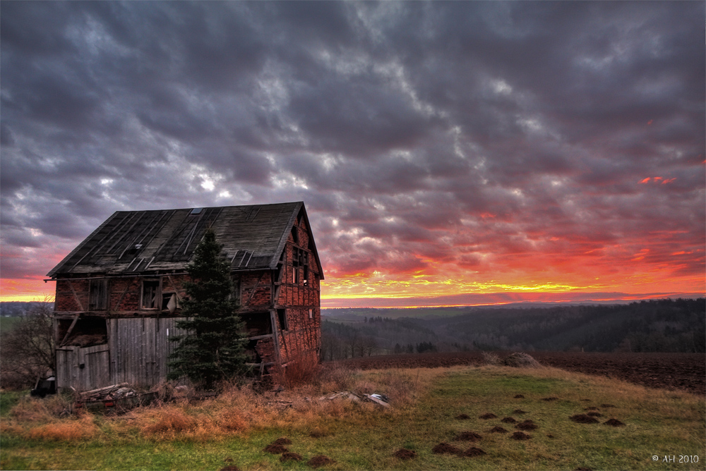 Morning in the countryside