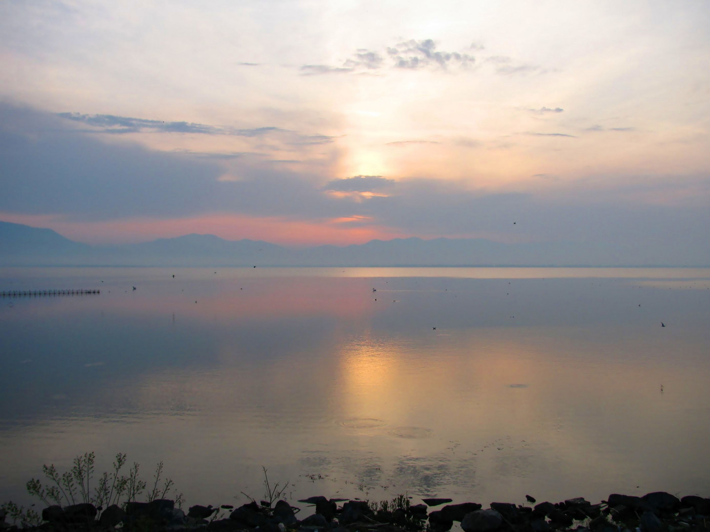 MORNING IN THE LAKE....