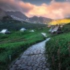 Morning In The Tatras