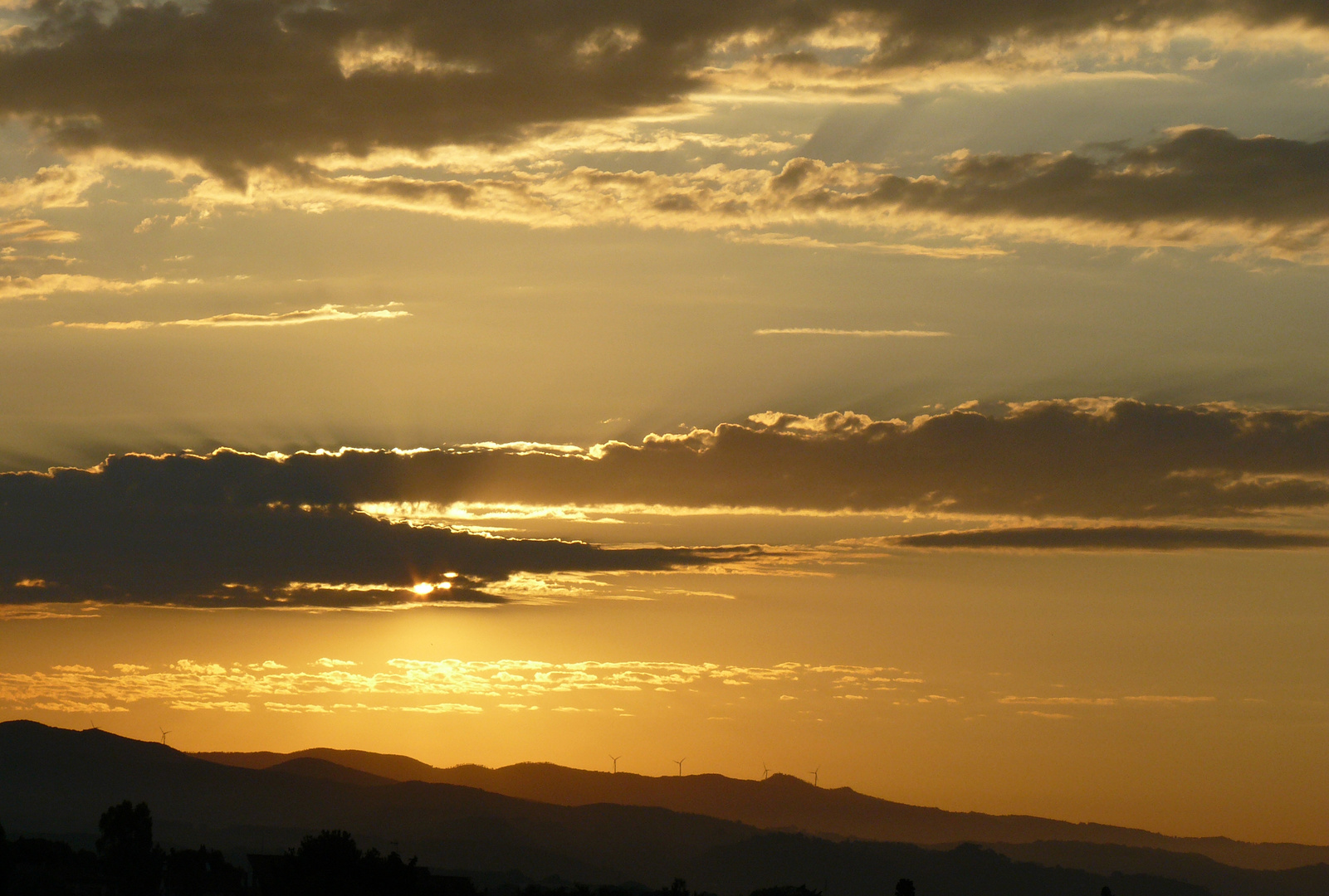 Morning in Toscana