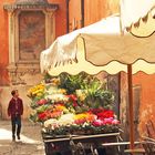 morning in trastevere