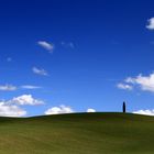 Morning In Tuscany