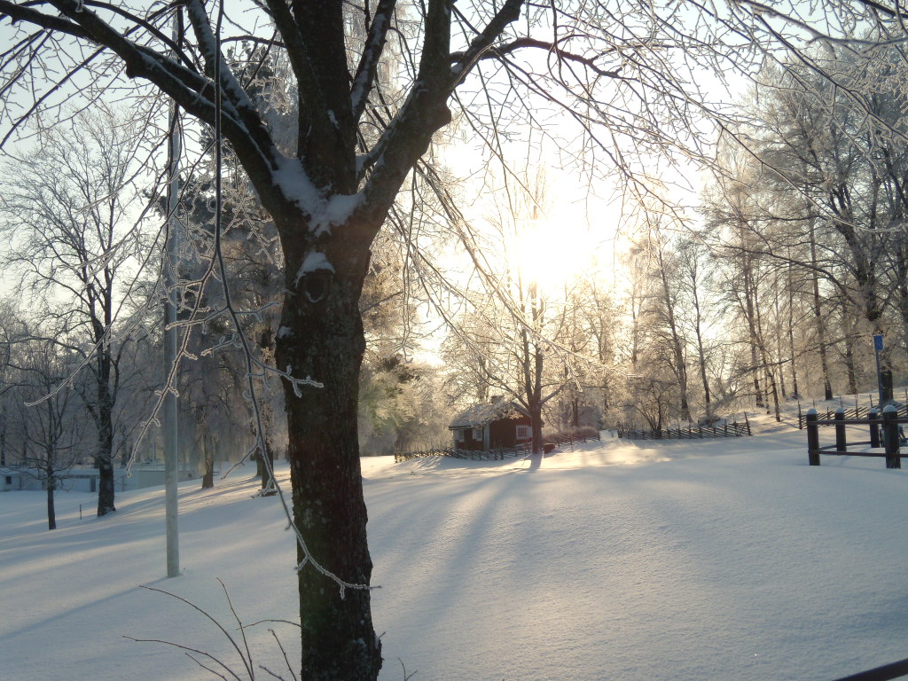 morning in Växjö, Sweden