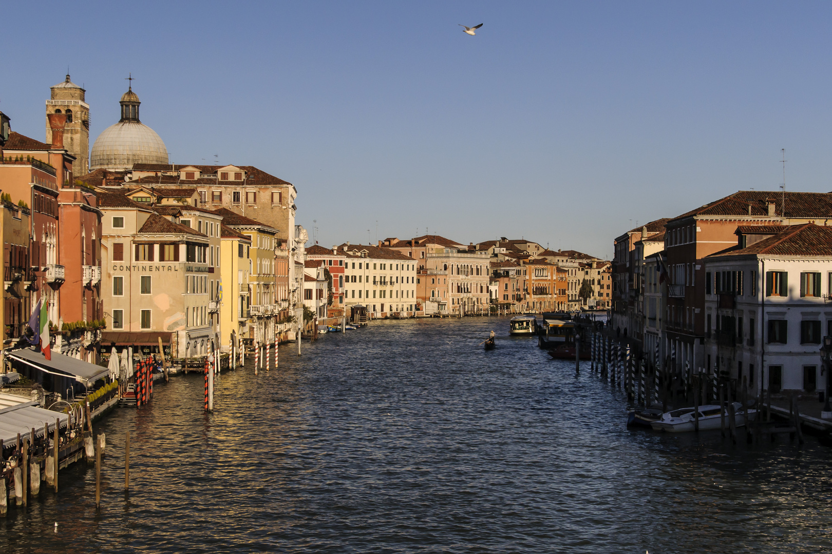 Morning in Venice