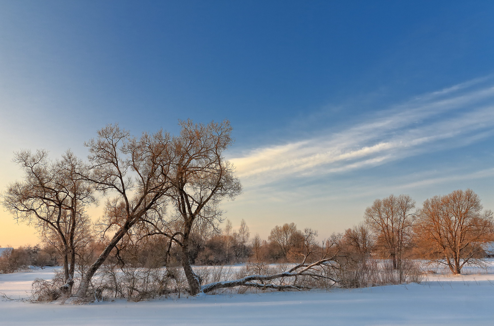 Morning landscape