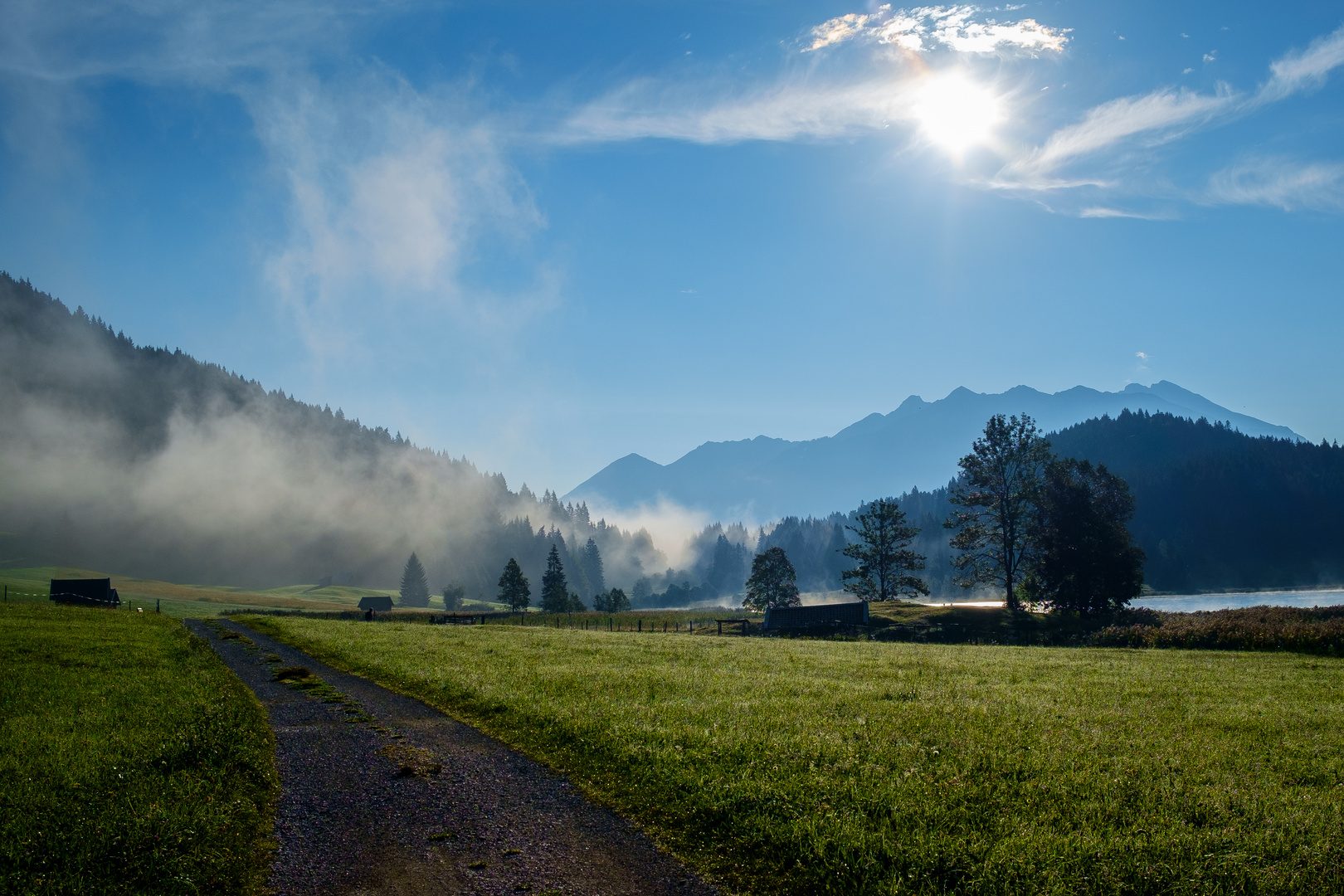 Morning light