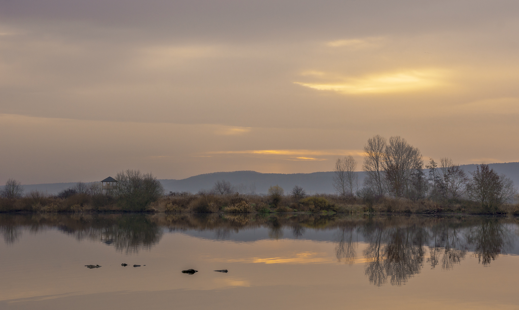 Morning Light