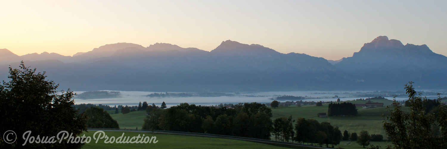 morning light