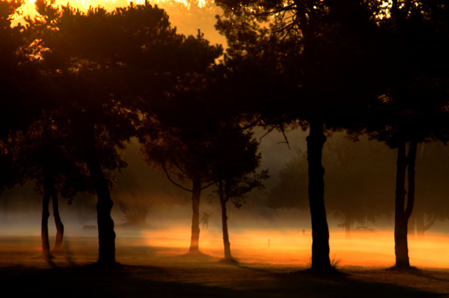 Morning light and fog